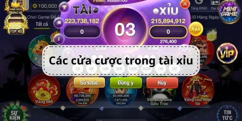 Cược tổng điểm có tỷ lệ thưởng cao